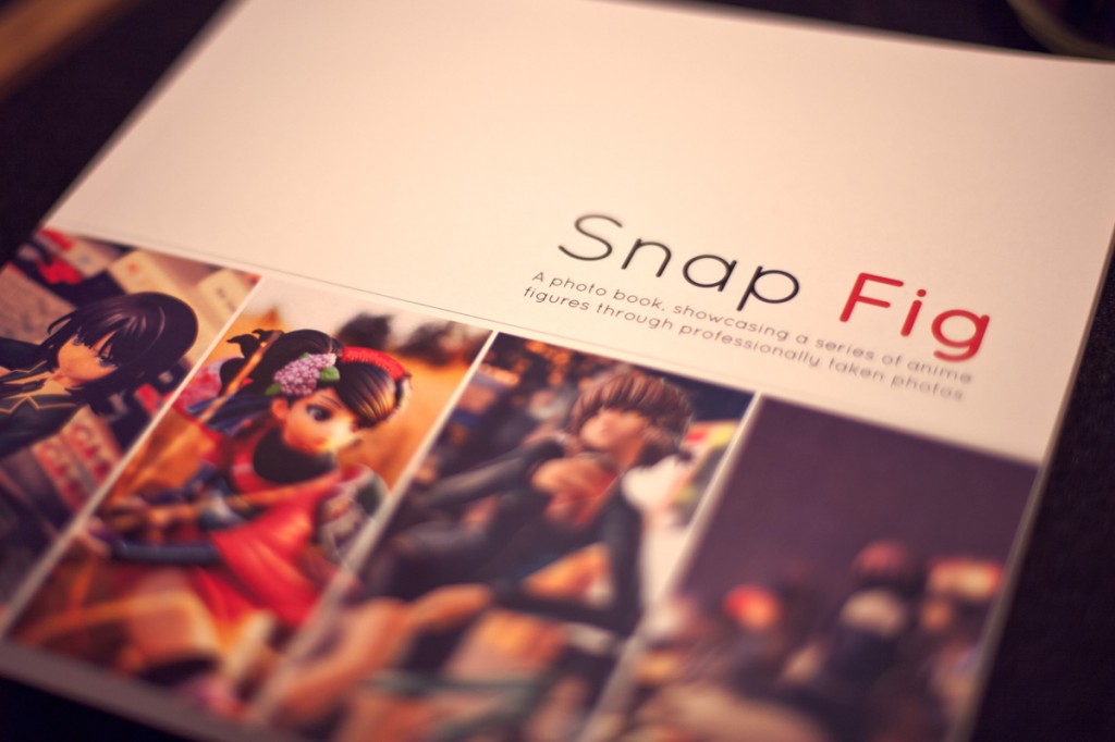 Project Snap Fig